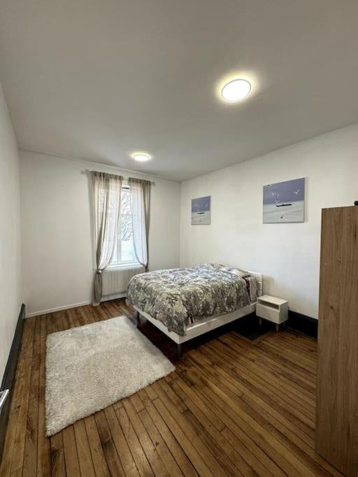 L Appart A La Gare Apartamento Nancy Exterior foto